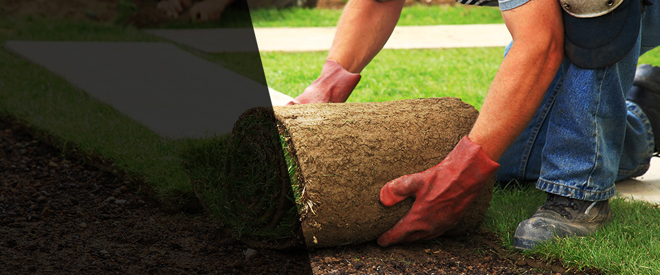 Fort White Landscapers